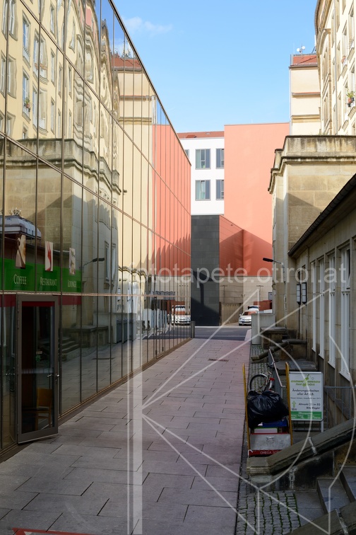 DSC 5442