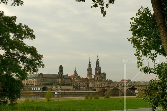 DSC 5516