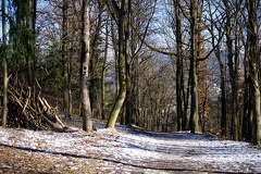 IMGP3441