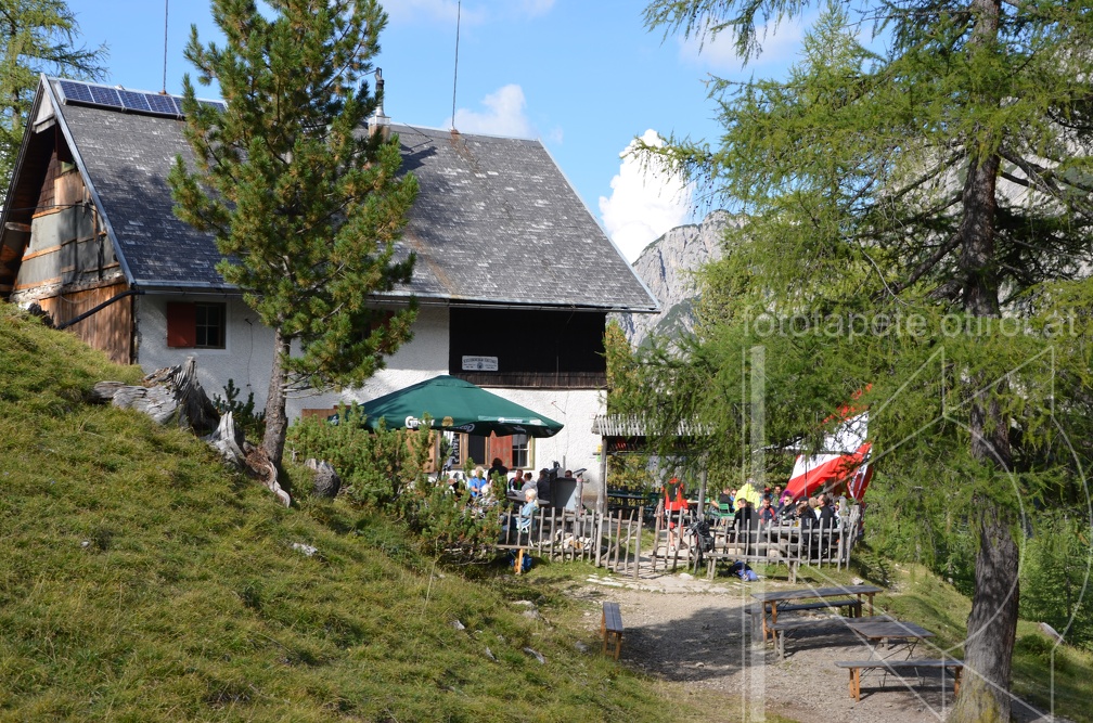 DSC 5814