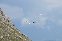 MSK 1391