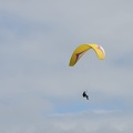 MSK 1475