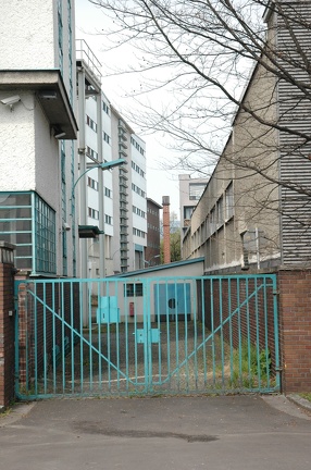 DSC 2513