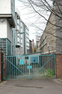 DSC 2513