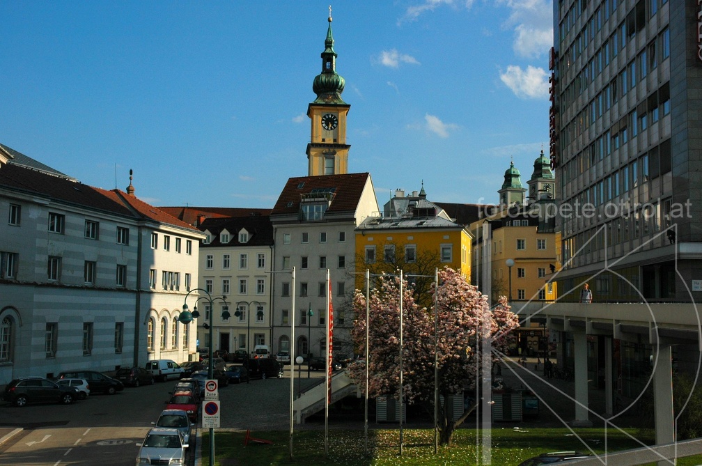 DSC 2554