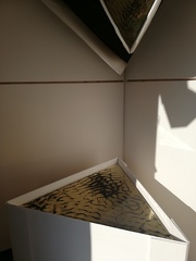 IMG 20210912 165730
