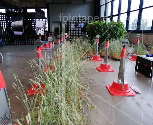 IMG 20190907 165406 2