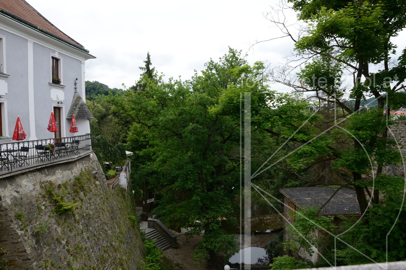 MSL_3453.jpg