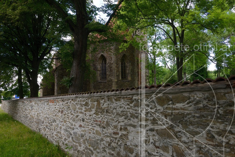 MSL_3796.jpg