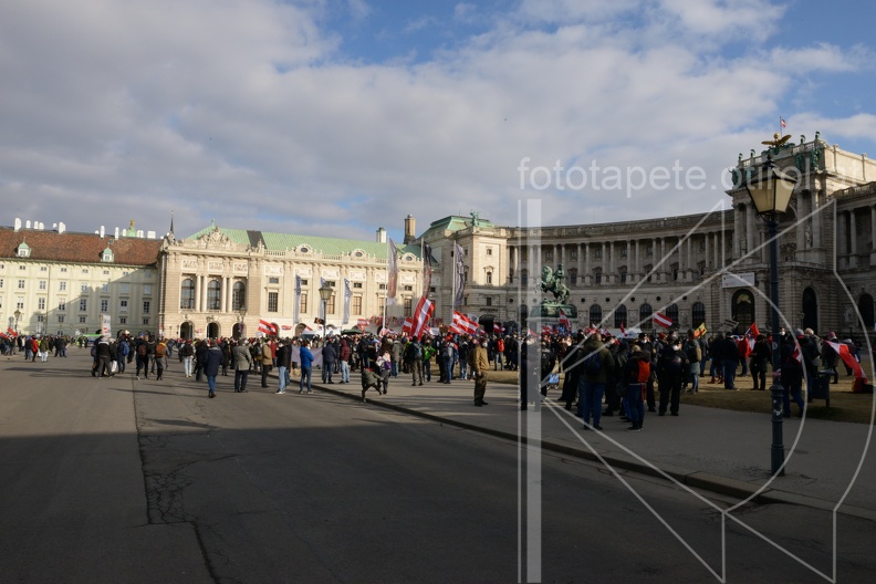 MSN_7602.jpg