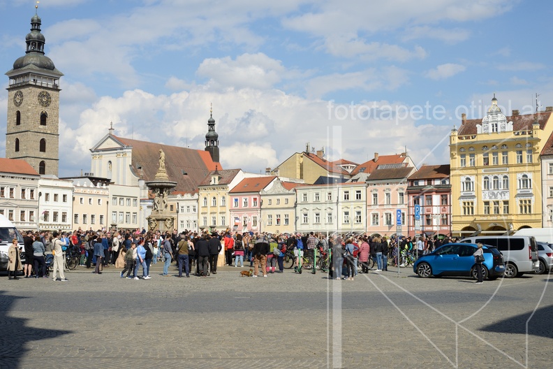 MSN_8244.jpg