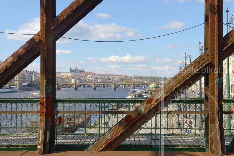 MSN_8318.jpg