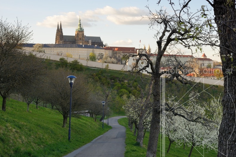 MSN_8348.jpg
