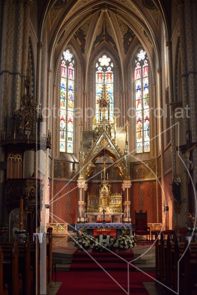 MSN_8412.jpg