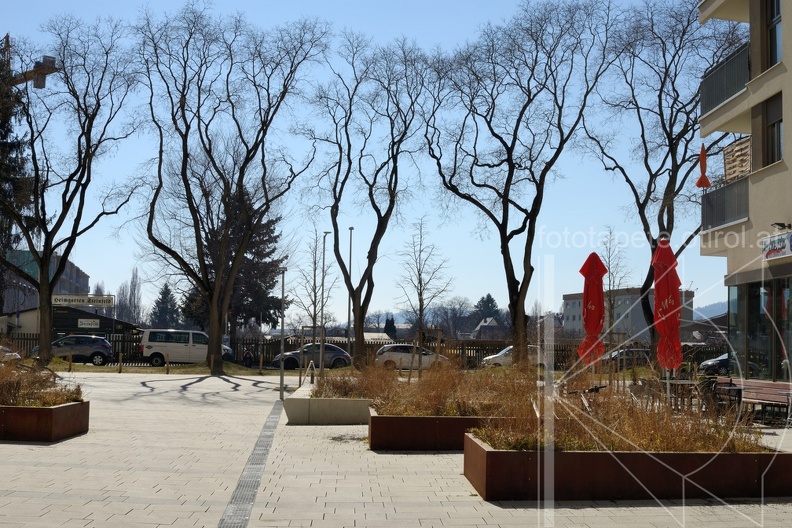 MSN_7945.jpg