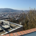 MSN_7964.jpg