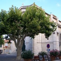 Cassis à la Côte d'Azur