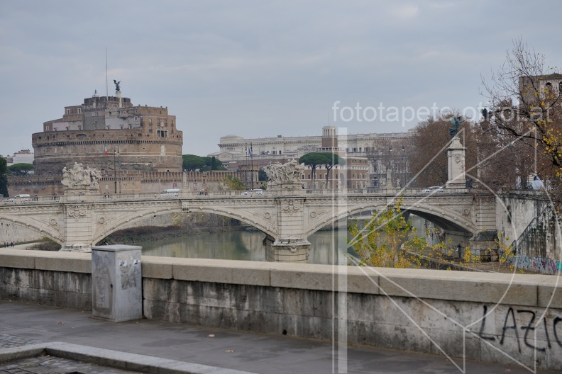 MSP 0659 (18465 visits) MSP 0659