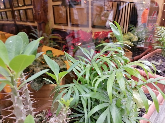 IMG 20240104 114437