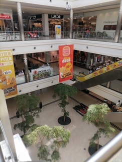 IMG 20230810 144019