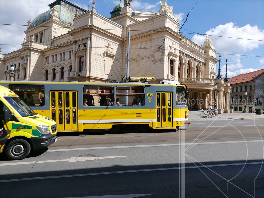 IMG 20230810 150641