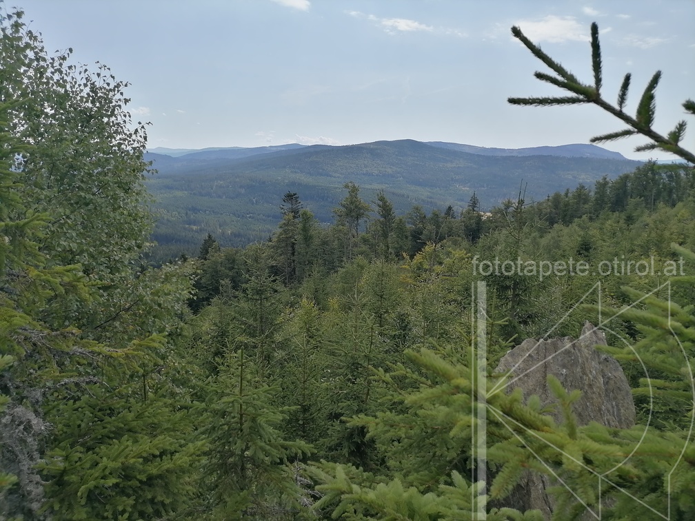 IMG 20230814 115013