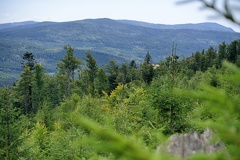 MSP 3439