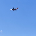 IMG_20240727_134808.jpg