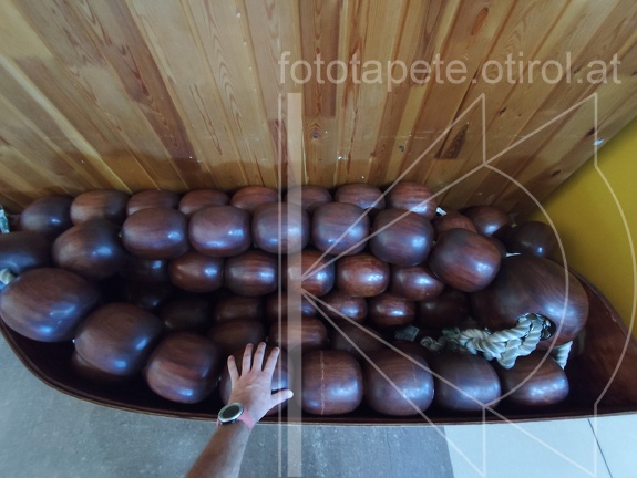 IMG 20240816 111329