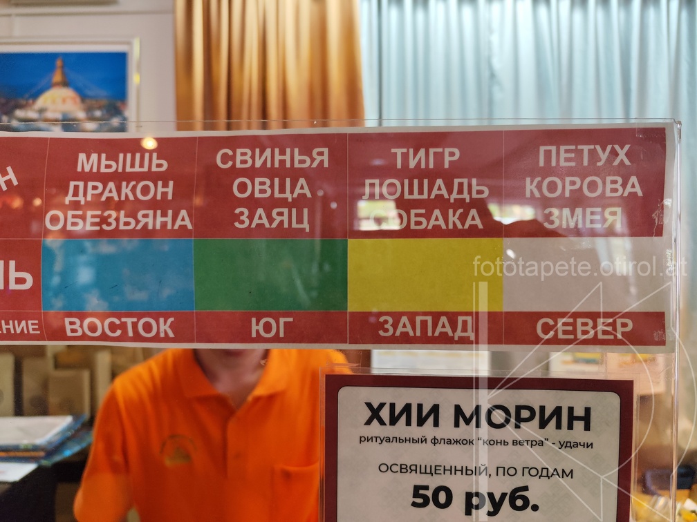 IMG 20240816 113933