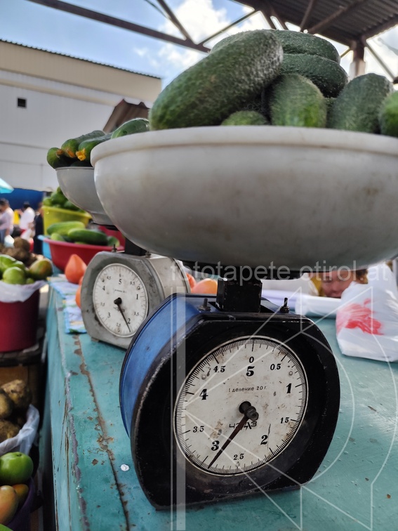 IMG 20240816 142341