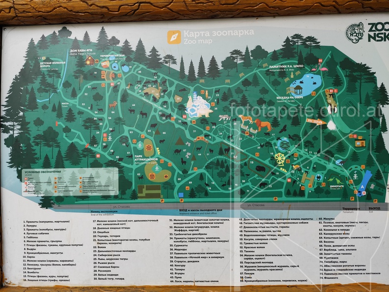 IMG 20240805 193238